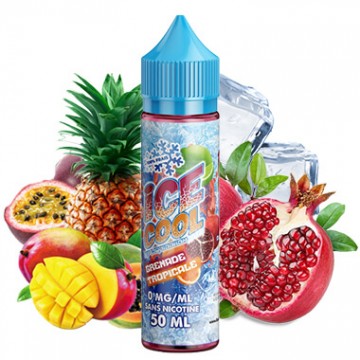 https://www.smokertech-grossiste-cigarette-electronique.fr/10530-thickbox/grenade-tropicale-50ml-ice-cool.jpg