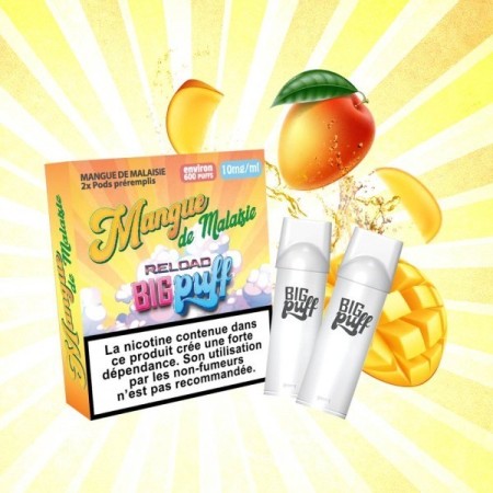 Cartouche Mangue de Malaisie (pack de 2) - Big Puff Reload