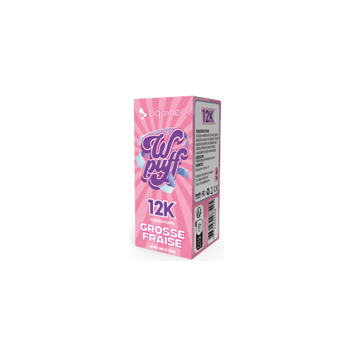 Kopie von Kit Myrtille Framboise - WPuff Pods 12K