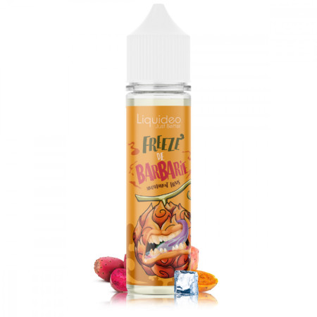 Kopie von FREEZE DRAGON 50ml - LIQUIDEO