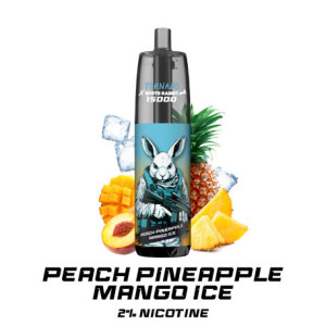 Kopie van Kopie van Kopie van Kopie van Kopie van Kopie van Kopie van Kopie van Puff Tornado Cola Ice 15000 2% + 2 Liquides 10ml