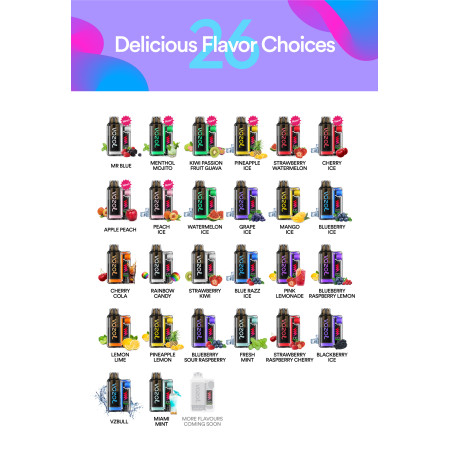 More Flavours 15K - VOZOL VISTA