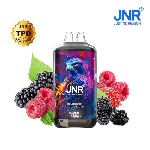 Blackberry Red Raspberry 28000 puffs - FALCON-X JNR