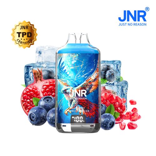 Blueberry Pomegranate Ice 28000 Puffs - FALCON-X JNR