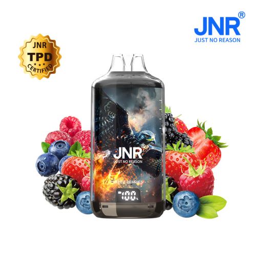 Mixed Berries 28000 puffs - FALCON-X JNR