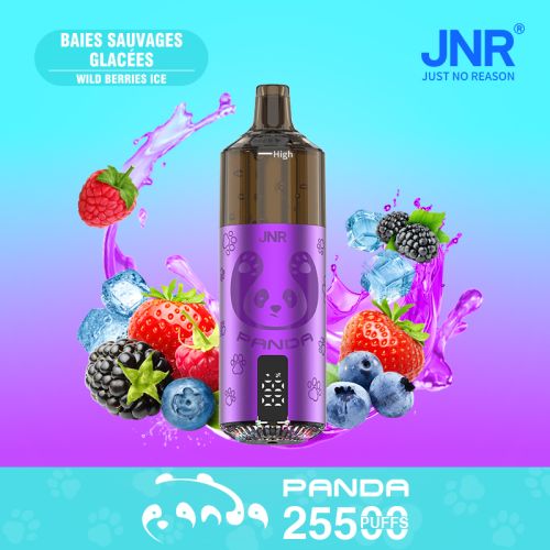 Baies Sauvages Glacées 25500 - PANDA JNR