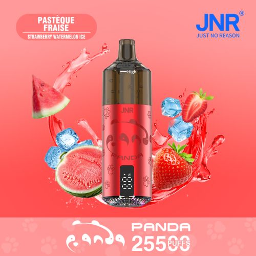 Fraise Glacée 25500 - PANDA JNR