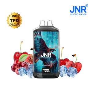 Kopie van Kopie van Blueberry Raspberry Cherry 28000 puffs - FALCON-X JNR
