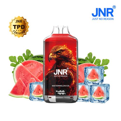 Watermelon Ice 28000 Puffs - FALCON-X JNR