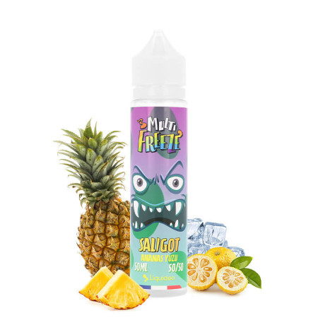 Kopie van Kopie van Kopie van Multi Freeze - GALIPETTE POMME FRAMBOISE 50ml - LIQUIDEO