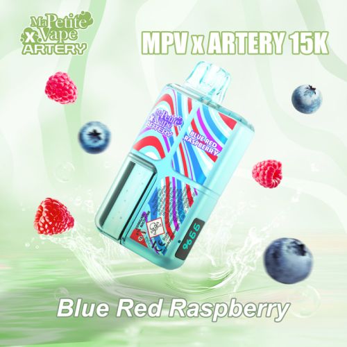 Blueberry Red Raspberry 15000 Puffs - Ma Petite Vape X Artery
