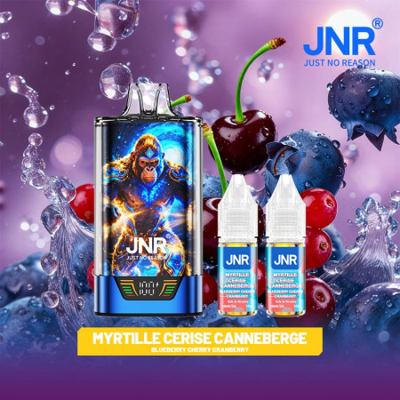 Blueberry Cherry Cranberry 43000 Puffs - GorillaX JNR