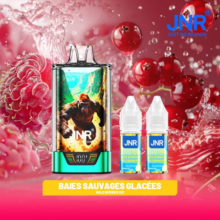 Wild Berries Ice 43000 Puffs - GorillaX JNR