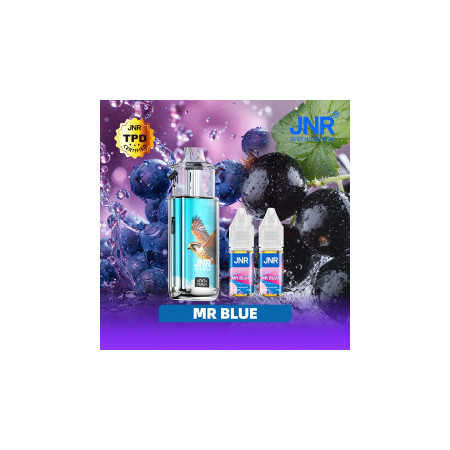 Mr Blue 40000 Puffs - FALCON NEXUS JNR
