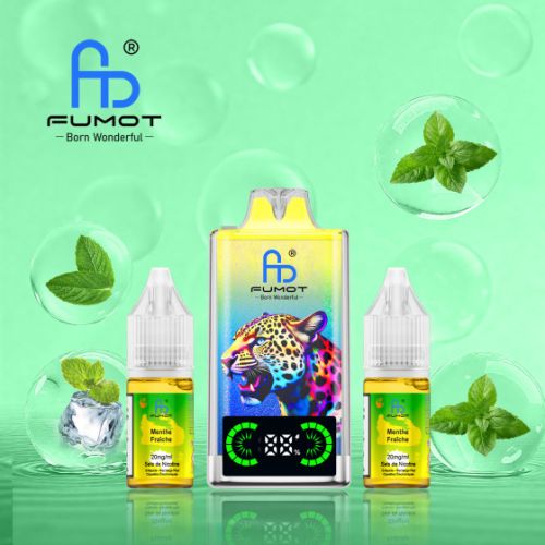 Cool Mint 40000 Puffs - LEOPARD FUMOT