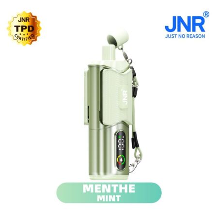 Mint 35000 Puffs - SHISHASIP JNR