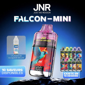 Kopie von Kopie von Kopie von Kopie von Kopie von Kopie von Kopie von Kopie von Blueberry Raspberry Cherry 28000 puffs - FALCON-