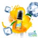 Citron Mandarine 10ml - DEVIL ICE Squiz - AVAP