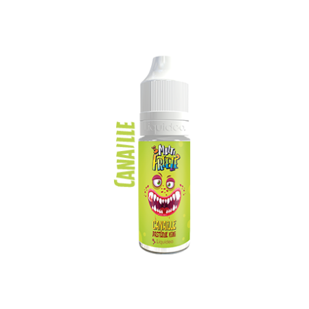Multi Freeze - CANAILLE PASTEQUE KIWI 10ml - LIQUIDEO